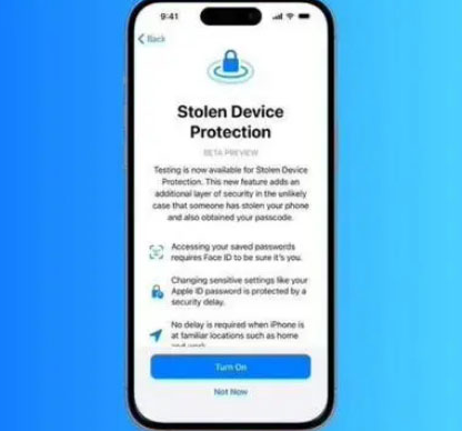 富拉尔基苹果授权维修店分享被盗设备保护功能开启方法 