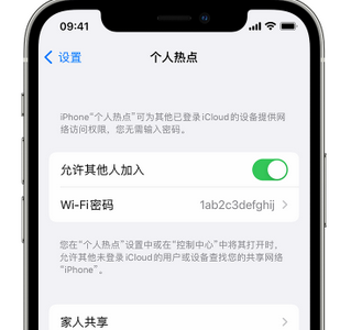 富拉尔基apple服务站点分享iPhone上个人热点丢失了怎么办 