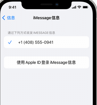 富拉尔基apple维修iPhone上无法正常发送iMessage信息 