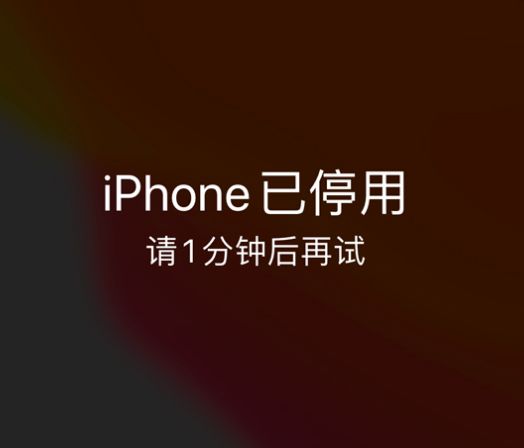 富拉尔基苹果手机维修分享:iPhone 显示“不可用”或“已停用”怎么办？还能保留数据吗？ 