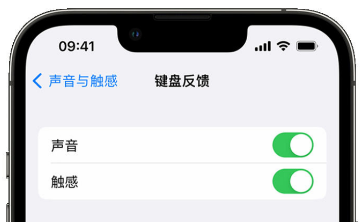 富拉尔基苹果手机维修分享iPhone 14触感键盘使用方法 