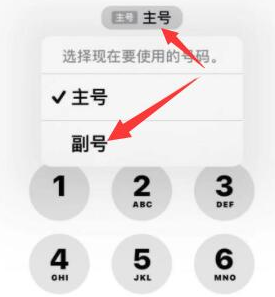 富拉尔基苹果14维修店分享iPhone 14 Pro Max使用副卡打电话的方法 