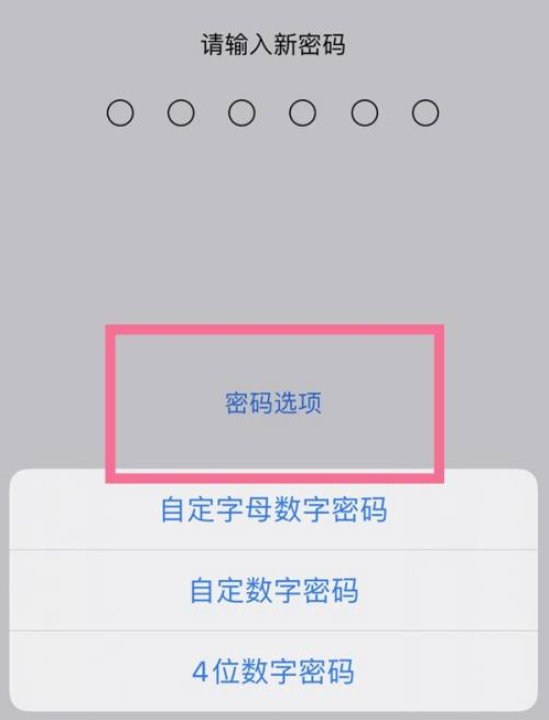 富拉尔基苹果14维修分享iPhone 14plus设置密码的方法 