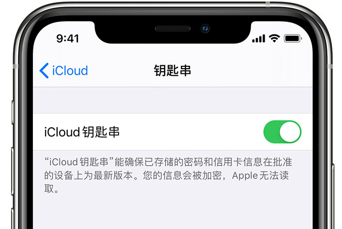 富拉尔基苹果手机维修分享在 iPhone 上开启 iCloud 钥匙串之后会储存哪些信息 