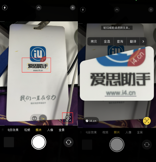 富拉尔基苹果手机维修分享升级iOS 16后如何通过相机翻译文本 