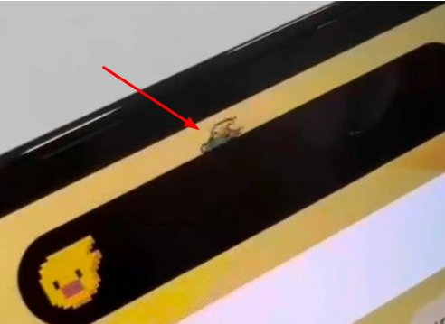 富拉尔基苹果14维修分享iPhone 14 Pro Max灵动岛怎么养宠物 
