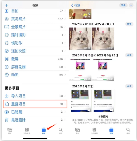 富拉尔基苹果手机维修分享iOS 16 中相册重复项目功能使用方法 