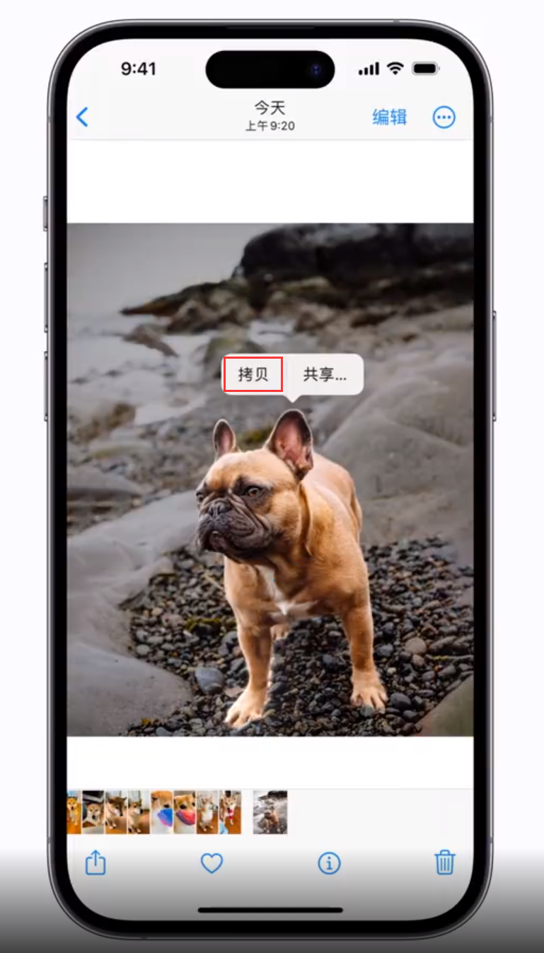 富拉尔基苹果手机维修分享 iOS 16 自带一键抠图功能 