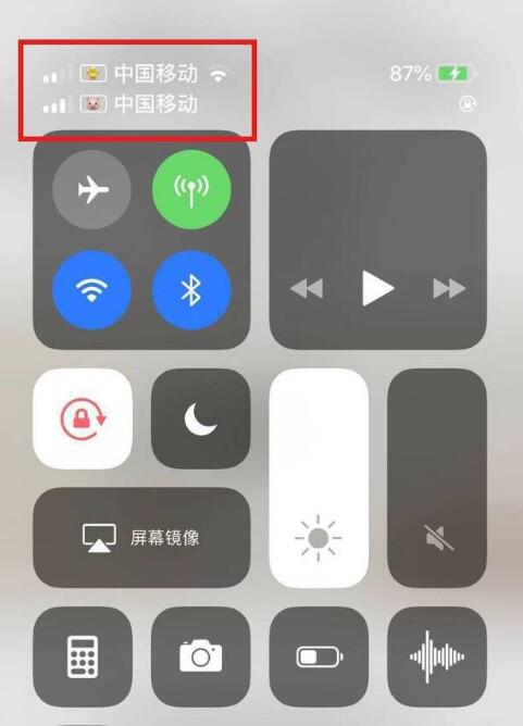 富拉尔基苹果手机维修分享为 iPhone 12 双卡设置标签 