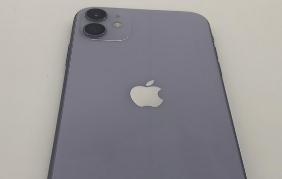 富拉尔基苹果11系统维修分享iPhone11手机系统崩溃无法开机如何解决 